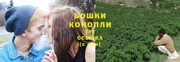 ПСИЛОЦИБИНОВЫЕ ГРИБЫ Абинск