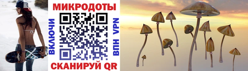 Галлюциногенные грибы Cubensis  закладки  Новосибирск 